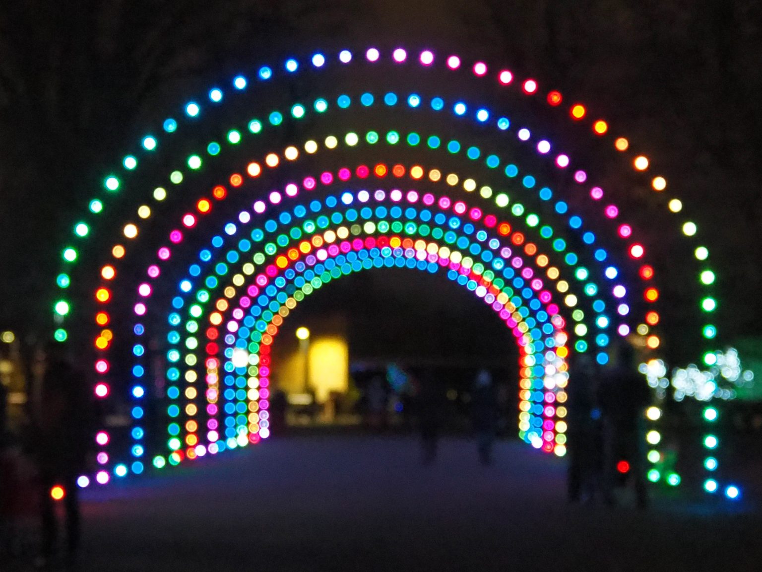 Arches of christmas lights at the Buffalo, NY zoo